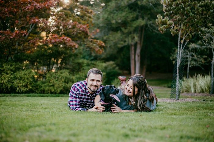 Incorporating your dog in the wedding