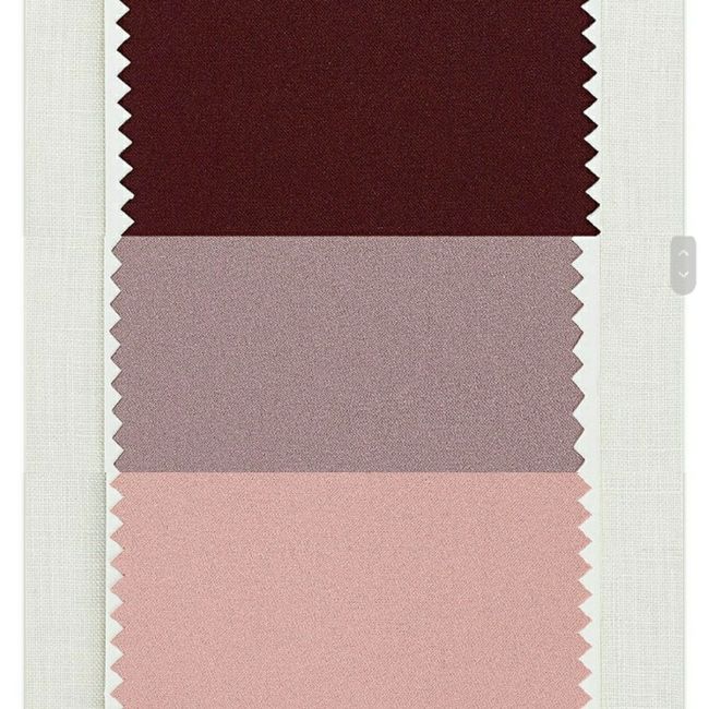 Color Scheme