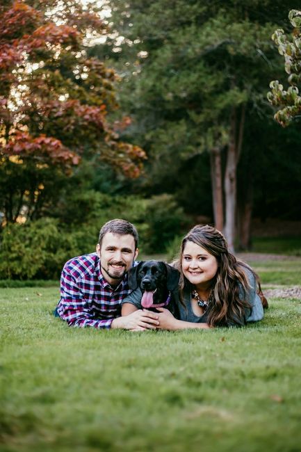  Dogs in E-pics - 1