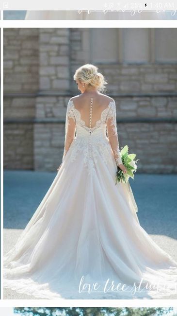 I Said YES to the Dress...... TWICE?