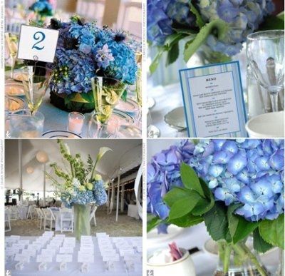Hydrangea Wedding