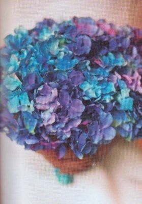 Blues and Purples