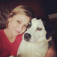 Show me your pet! - 1