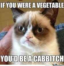 Want to have a wedding but can't afford it