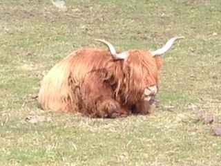 NWR:  For LMAC and Anyone Else Who Wants'em..... Scotland Pics