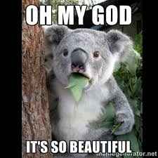 BAMMMM-alama-ding-dong!! Non Pro Pic Heavy!