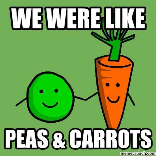 Compliment the User Above You