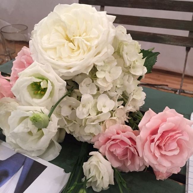 So ...which would you rather? ?