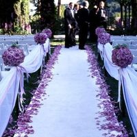 Flower Girl & Ring bearer?