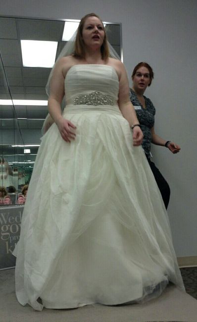 Plus Size Brides , share your dress !