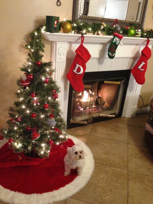 NWR- Let's see your Christmas tree!