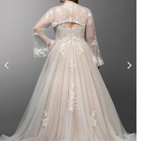 Back of dress