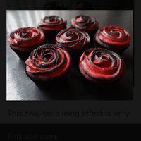 October 2020 Brides - 4