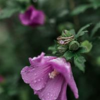 SHOW OFF YOUR RINGS LADIES!! I wanna see that bling!!!