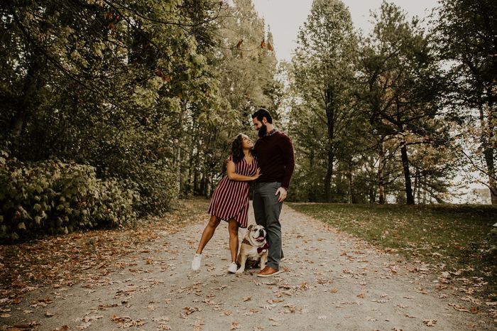 Engagement Shoot! Spam! - 2