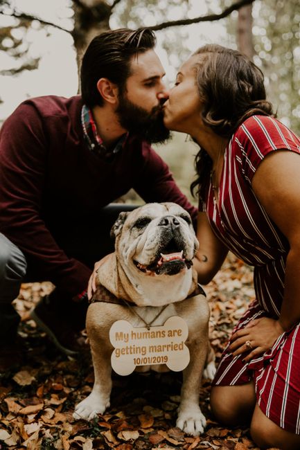 Engagement Shoot! Spam! - 6
