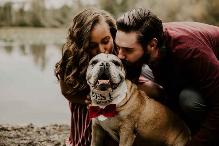 Engagement Shoot! Spam! - 1