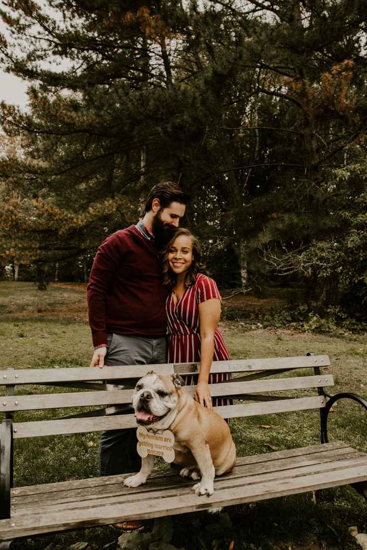 Engagement Shoot! Spam! - 7