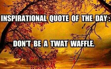 5am thoughts.