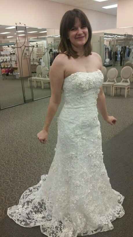 Let me see your DRESS!
