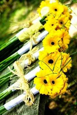 Some pro pics already!!!