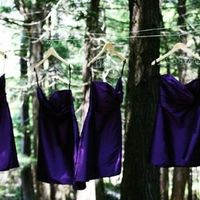 Some pro pics already!!!