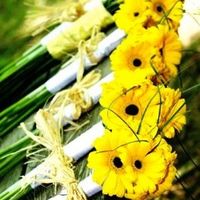 Some pro pics already!!!