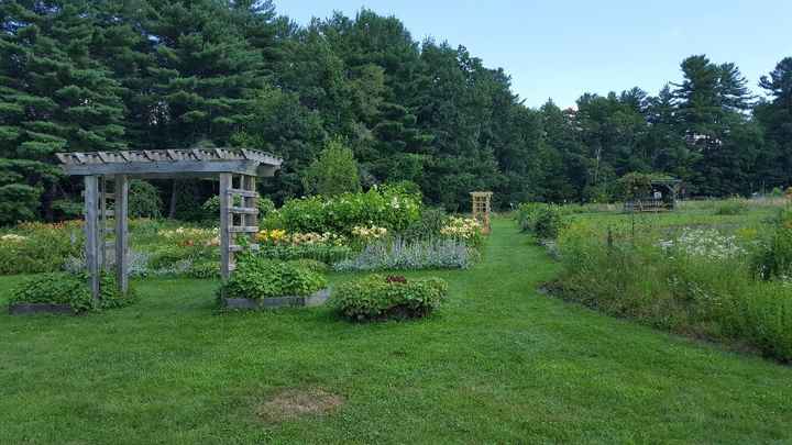 Garden ceremony site