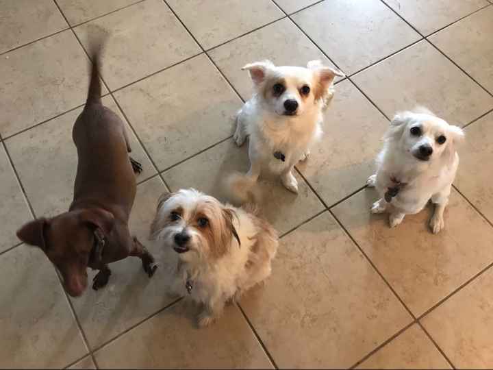 NWR feeling down: send happy pictures