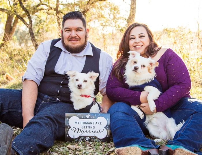 My dogs in my engagement pictures