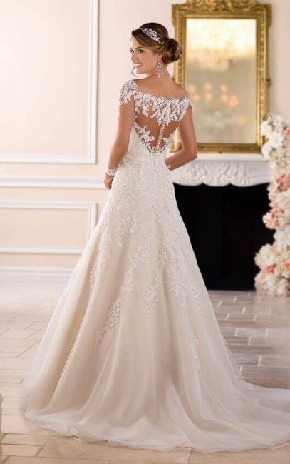stella york 6414 back