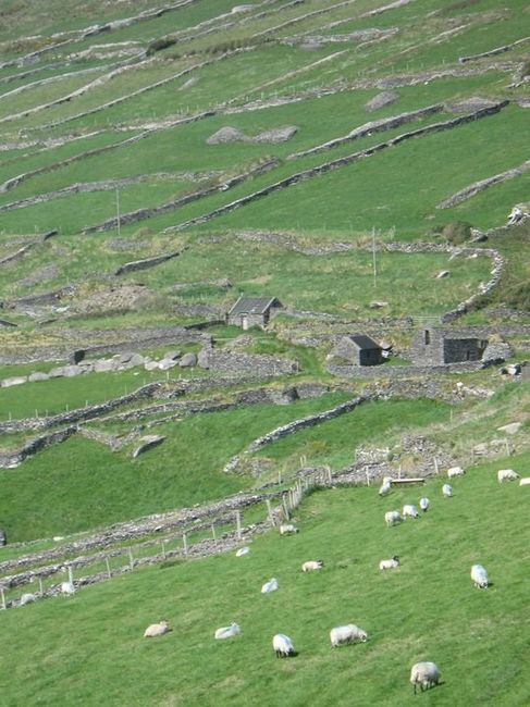 Feeling Lucky in Ireland??? 3