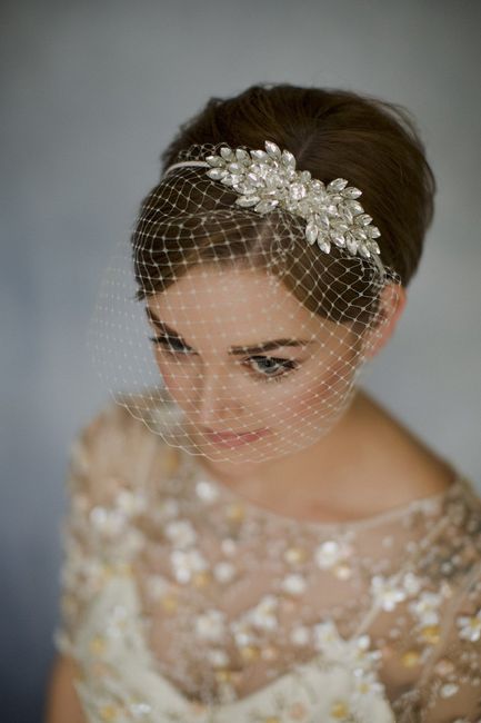 birdcage veil