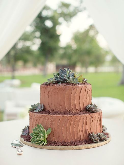 Chocolate Wedding Cake 2