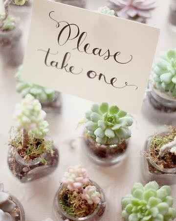Ideas for favors