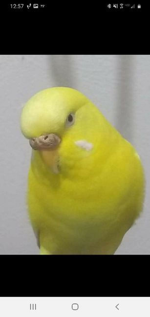 Let's see your fur babies!! 10