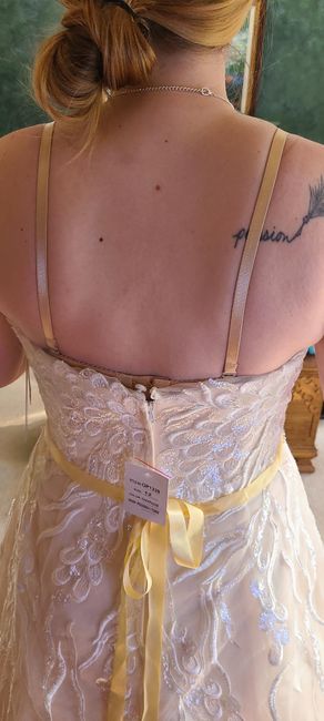 Illusion or No Illusion 2