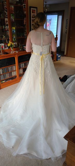 Illusion or No Illusion 3