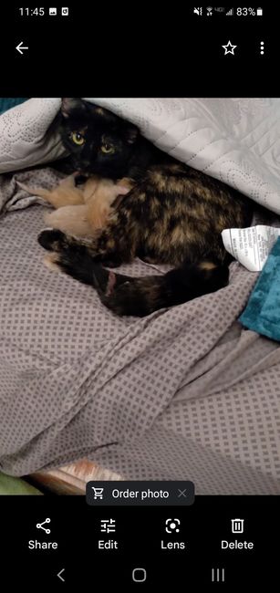 Where is everyone staying the night before? 2