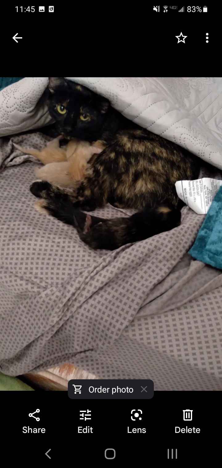 Where is everyone staying the night before? - 2