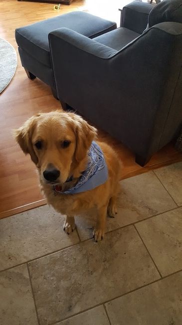 NWR: Lost a Fur Baby