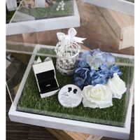 Guys I need this asap! Please help!