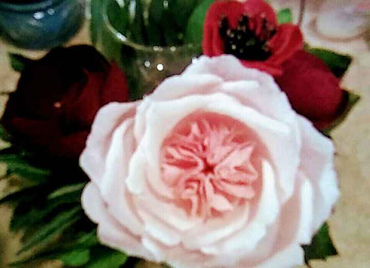 Crepe Paper flowers - 2