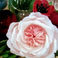 Crepe Paper flowers - 2