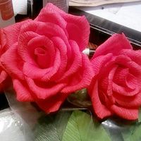 Crepe Paper flowers - 3