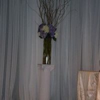 I am back and Married with a mini recap and pictures!