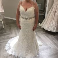 Show me those dresses