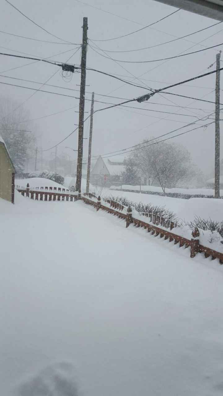 East Coast!! Show me your snow pictures!