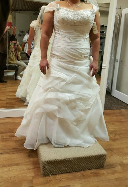 Plus Size Dresses