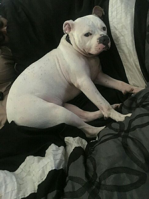 Update #2: I'm so devastated. NWR